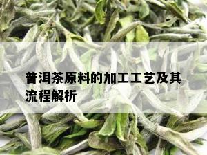 普洱茶原料的加工工艺及其流程解析