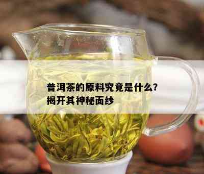 普洱茶的原料究竟是什么？揭开其神秘面纱