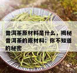 普洱茶原材料是什么，揭秘普洱茶的原材料：你不知道的秘密