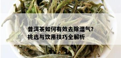 普洱茶如何有效去除湿气？挑选与饮用技巧全解析