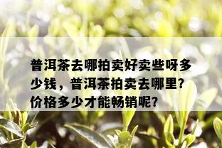 普洱茶去哪拍卖好卖些呀多少钱，普洱茶拍卖去哪里？价格多少才能畅销呢？