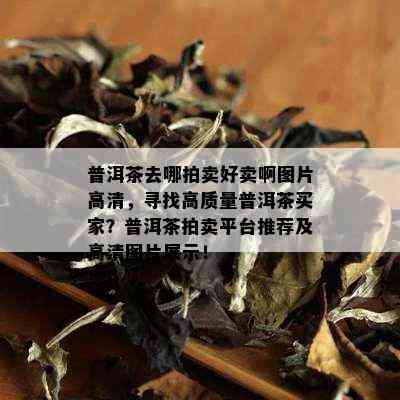 普洱茶去哪拍卖好卖啊图片高清，寻找高质量普洱茶买家？普洱茶拍卖平台推荐及高清图片展示！