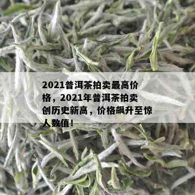 2021普洱茶拍卖更高价格，2021年普洱茶拍卖创历史新高，价格飙升至惊人数值！