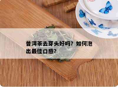 普洱茶去芽头好吗？如何泡出更佳口感？