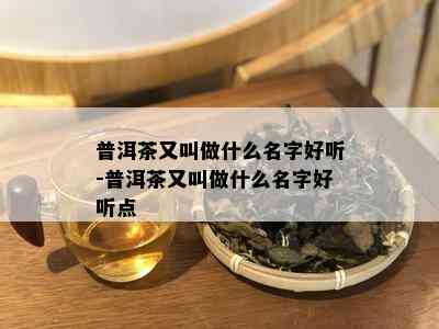 普洱茶又叫做什么名字好听-普洱茶又叫做什么名字好听点