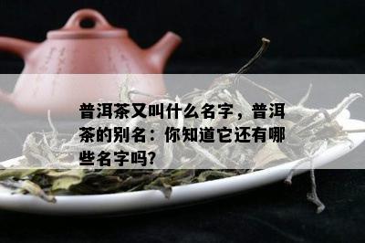 普洱茶又叫什么名字，普洱茶的别名：你知道它还有哪些名字吗？