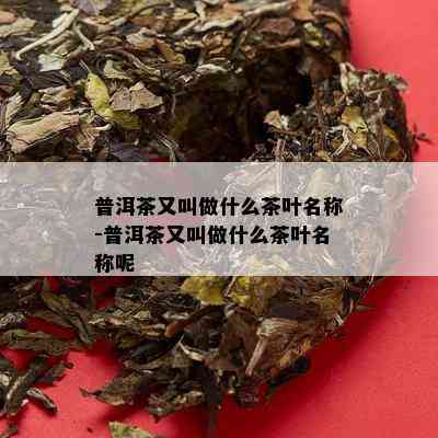 普洱茶又叫做什么茶叶名称-普洱茶又叫做什么茶叶名称呢