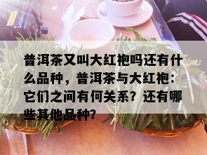 普洱茶又叫大红袍吗还有什么品种，普洱茶与大红袍：它们之间有何关系？还有哪些其他品种？