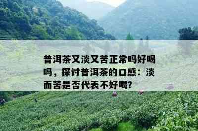 普洱茶又淡又苦正常吗好喝吗，探讨普洱茶的口感：淡而苦是否代表不好喝？