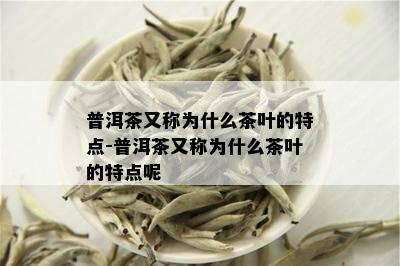 普洱茶又称为什么茶叶的特点-普洱茶又称为什么茶叶的特点呢