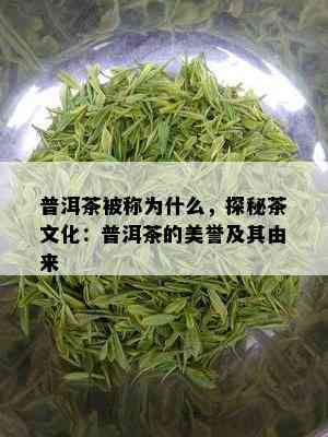 普洱茶被称为什么，探秘茶文化：普洱茶的美誉及其由来