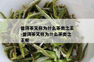 普洱茶又称为什么茶类之王-普洱茶又称为什么茶类之王呢