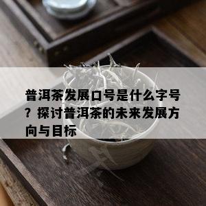 普洱茶发展口号是什么字号？探讨普洱茶的未来发展方向与目标