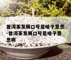 普洱茶发展口号是啥子意思-普洱茶发展口号是啥子意思啊