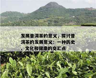 发展普洱茶的意义，探讨普洱茶的发展意义：一种历史、文化和健康的交汇点