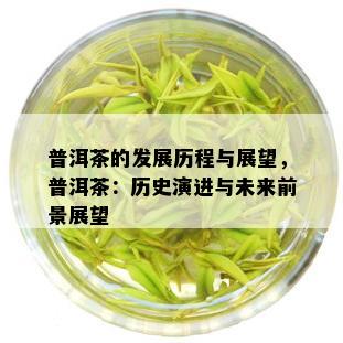 普洱茶的发展历程与展望，普洱茶：历史演进与未来前景展望