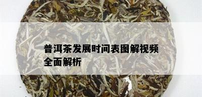 普洱茶发展时间表图解视频全面解析