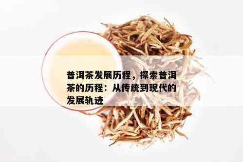 普洱茶发展历程，探索普洱茶的历程：从传统到现代的发展轨迹