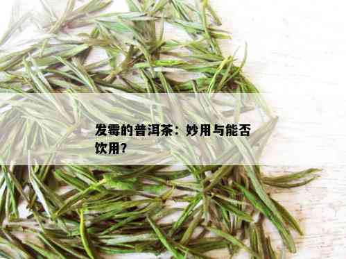 发霉的普洱茶：妙用与能否饮用？