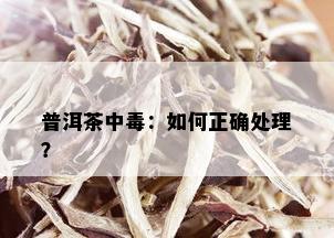 普洱茶中：如何正确处理？