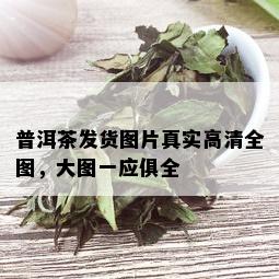 普洱茶发货图片真实高清全图，大图一应俱全