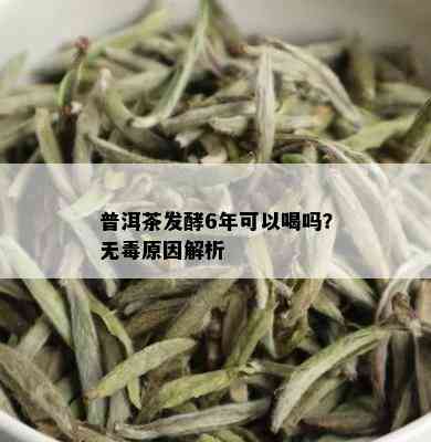 普洱茶发酵6年可以喝吗？无原因解析