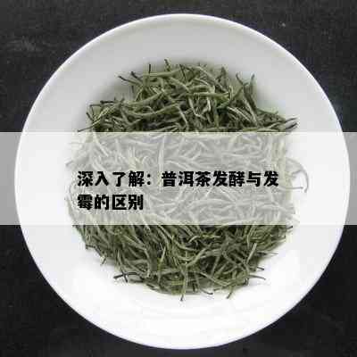 深入了解：普洱茶发酵与发霉的区别