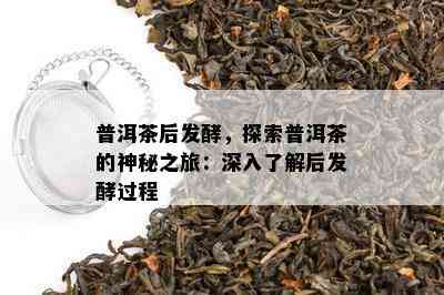 普洱茶后发酵，探索普洱茶的神秘之旅：深入了解后发酵过程