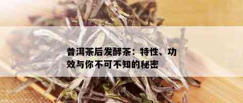 普洱茶后发酵茶：特性、功效与你不可不知的秘密