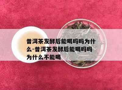 普洱茶发酵后能喝吗吗为什么-普洱茶发酵后能喝吗吗为什么不能喝