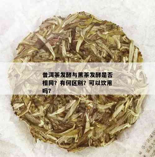 普洱茶发酵与黑茶发酵是否相同？有何区别？可以饮用吗？