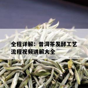 全程详解：普洱茶发酵工艺流程视频讲解大全