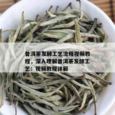 普洱茶发酵工艺流程视频教程，深入理解普洱茶发酵工艺：视频教程详解