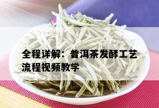 全程详解：普洱茶发酵工艺流程视频教学