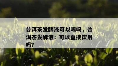 普洱茶发酵液可以喝吗，普洱茶发酵液：可以直接饮用吗？