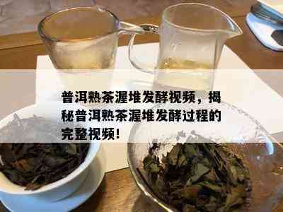 普洱熟茶渥堆发酵视频，揭秘普洱熟茶渥堆发酵过程的完整视频！