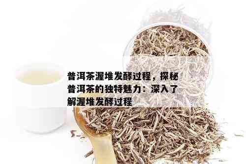 普洱茶渥堆发酵过程，探秘普洱茶的独特魅力：深入了解渥堆发酵过程