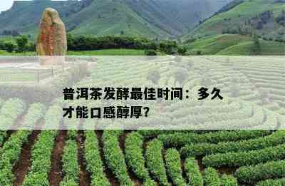 普洱茶发酵更佳时间：多久才能口感醇厚？