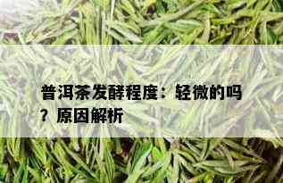 普洱茶发酵程度：轻微的吗？原因解析