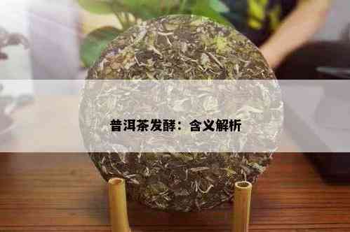 普洱茶发酵：含义解析