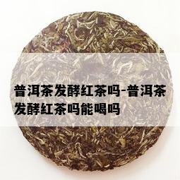 普洱茶发酵红茶吗-普洱茶发酵红茶吗能喝吗