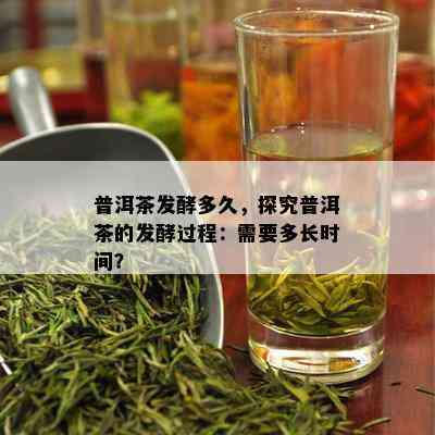 普洱茶发酵多久，探究普洱茶的发酵过程：需要多长时间？