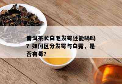 普洱茶长白毛发霉还能喝吗？如何区分发霉与白霜，是否有？