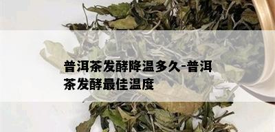 普洱茶发酵降温多久-普洱茶发酵更佳温度