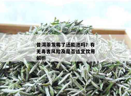 普洱茶发霉了还能泡吗？有无害风险及是否适宜饮用解析