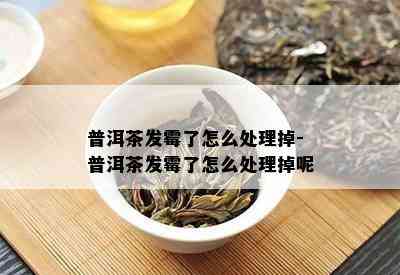 普洱茶发霉了怎么处理掉-普洱茶发霉了怎么处理掉呢