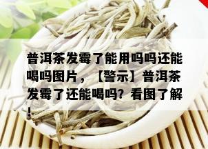 普洱茶发霉了能用吗吗还能喝吗图片，【警示】普洱茶发霉了还能喝吗？看图了解！