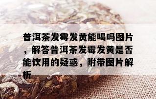 普洱茶发霉发黄能喝吗图片，解答普洱茶发霉发黄是否能饮用的疑惑，附带图片解析