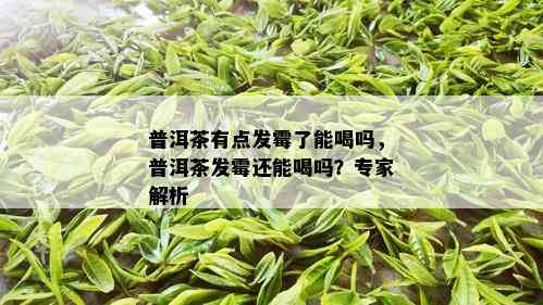 普洱茶有点发霉了能喝吗，普洱茶发霉还能喝吗？专家解析