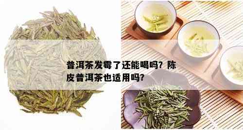 普洱茶发霉了还能喝吗？陈皮普洱茶也适用吗？